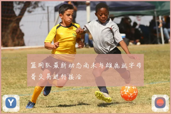 篮网队最新动态尚未与雄鹿就字母哥交易进行接洽